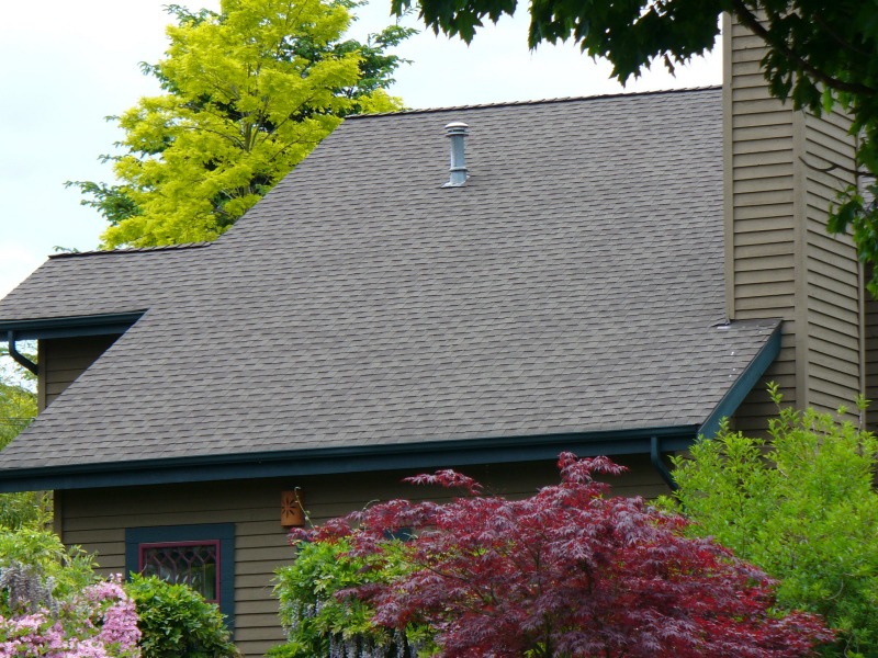 Bellevue Roofing Replacement Brown Home