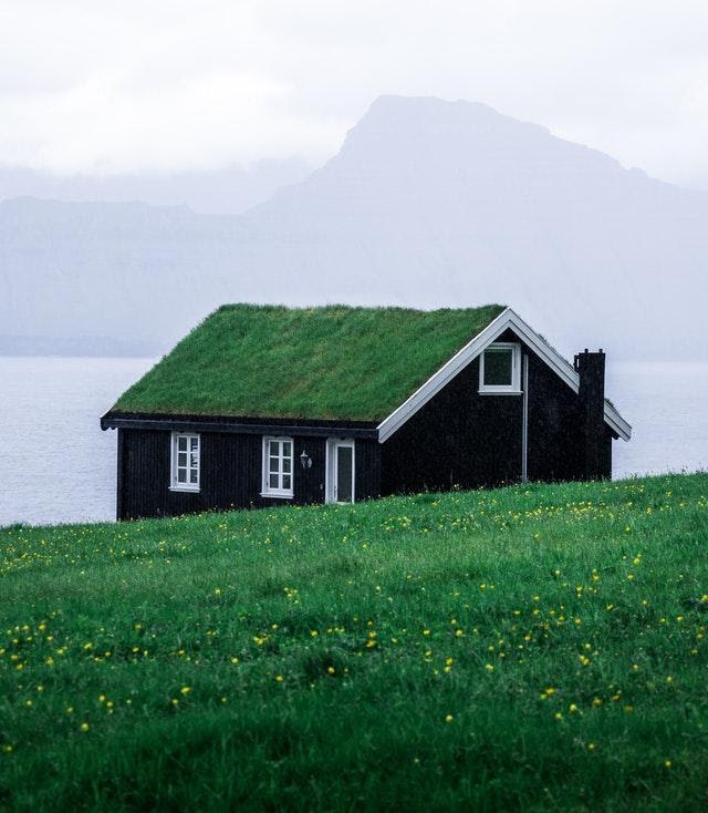Black Home With Green Living Roof
