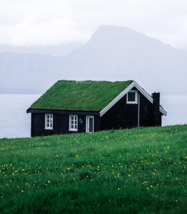 Black Home With Green Living Roof Black Home With Green Living Roof