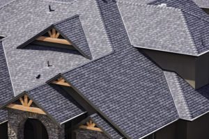 Rooftop in a newly constructed subdivision in Kelowna British Columbia Canada showing asphalt shingles and multiple roof lines