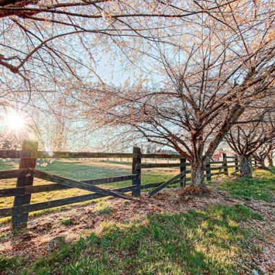 covington wa landscape
