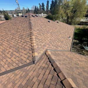 bothell home roof replacement