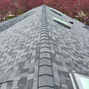 west seattle roof replacement