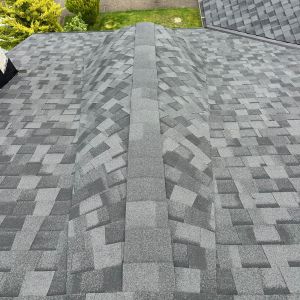 west seattle roof replacement