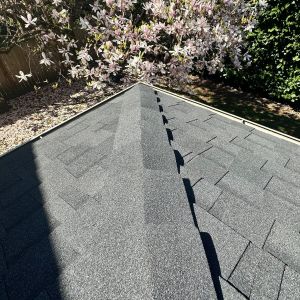 roof replacement project in seattle wedgewood neighborhood