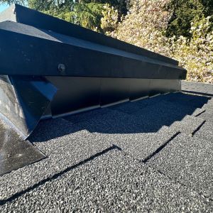 roof replacement project in seattle wedgewood neighborhood