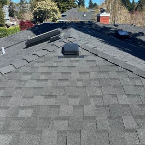 roof replacement project in seattle wedgewood neighborhood