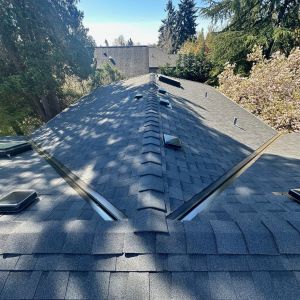 roof replacement project in seattle wedgewood neighborhood