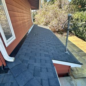 roof replacement project in seattle wedgewood neighborhood