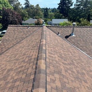 seattle roof replacement