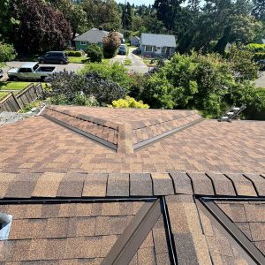 seattle roof replacement