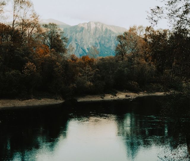 issaquah neighborhood