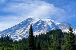 view of mount rainier